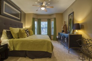 2 Bedroom Apartments For Rent in San Antonio, TX - Model Bedroom (2) 
